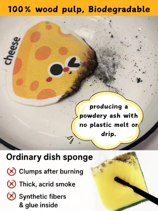 Burn test comparing biodegradable cellulose sponge to ordinary plastic dish sponge